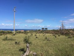 Rudere con terreno a Santo Saba rif. GTQ-5185 - 12
