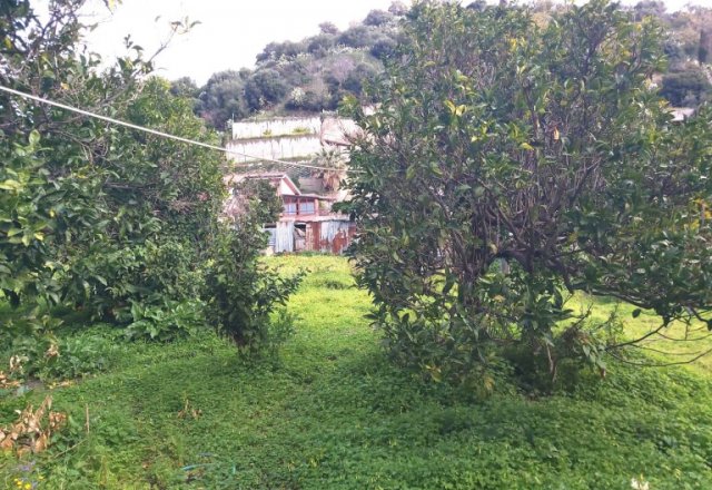 Minissale, casa singola con terreno pianeggiante di 1000 mq - 35