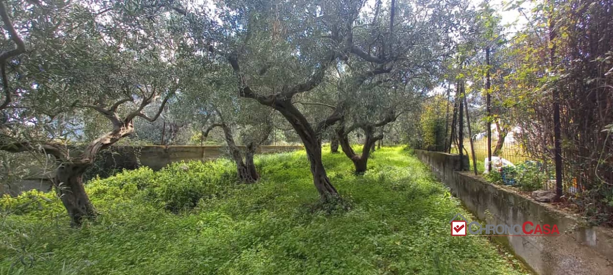 Terreno Residenziale in Vendita Messina