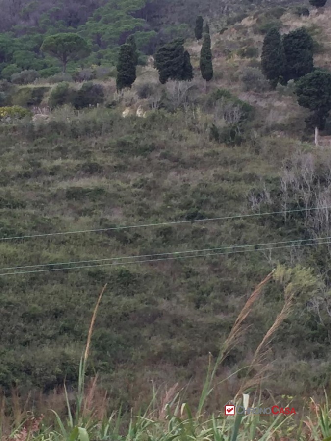 Vendita Terreno Residenziale Messina