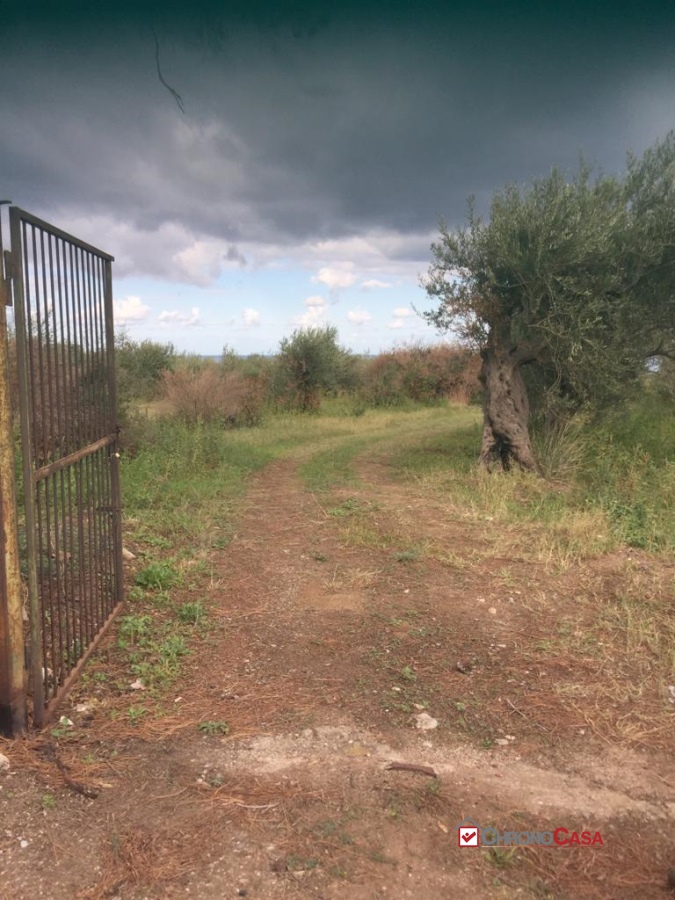 Terreno Residenziale in Vendita Messina