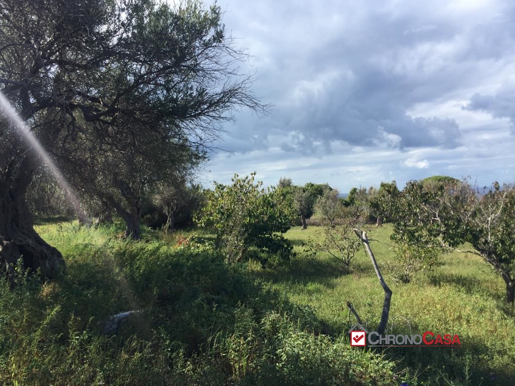 appartamento in vendita a Messina in zona Centro Storico