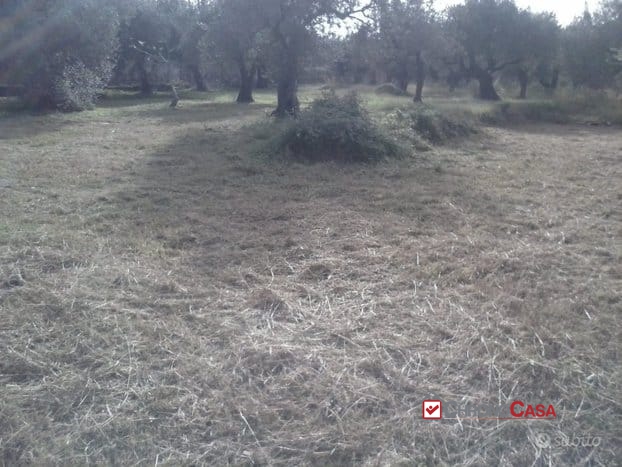 Terreno Residenziale in Vendita Messina